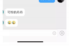 楚雄融资清欠服务